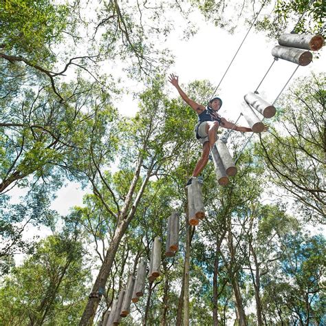 Treetops Western Sydney All You Need To Know Before You Go