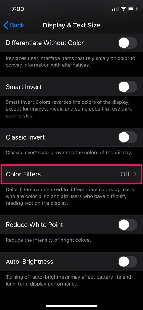 How To Use Color Filters On Iphone And Ipad