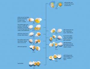 The Egg Chart Cooking Issues