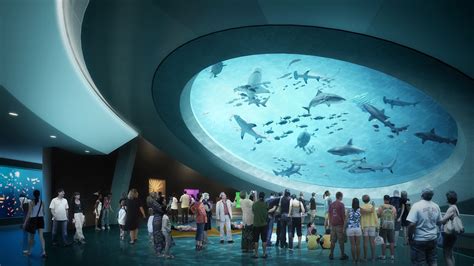 Long Awaited Miami Science Museum Comes To Life The New York Times