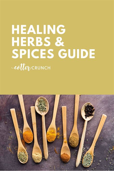 Healing Herbs And Spices List Guide Laptrinhx News