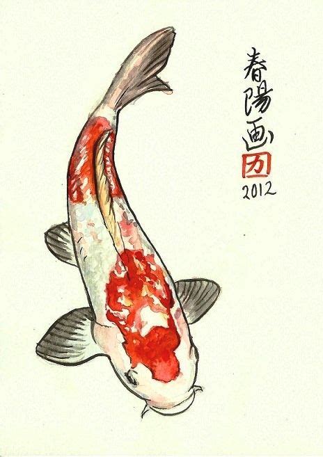 Illustrated Imaginarium Koi Art Koi Painting Koi Fish Drawing