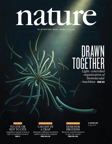 Cover Art Nature Journal Inna Marie Strazhnik Illustration