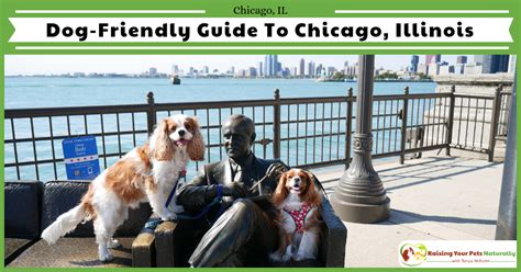 Search for hotels in illinois on expedia. Vacations With Your Dog-Traveling With Pets and Dog ...