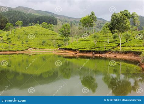 A Picturesque Lake In The Hills Of Sri Lanka Stock Photo Image Of