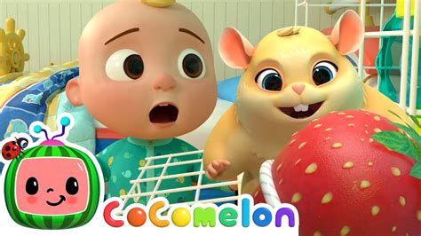 Lost Hamster Song Cocomelon And Baby Songs Moonbug Kids Youtube