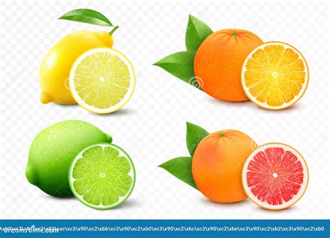 Set Of Citrus Lemon Mandarin Lime Orange Grapefruit Whole Cut