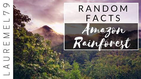 Amazon Rainforest Butterfly Facts