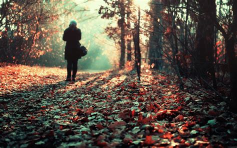 Wallpaper Loneliness Lots Of Leaves Girl Park Autumn 2560x1600