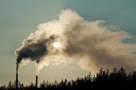 Air Pollution Linked To Mental Health Issues In Children