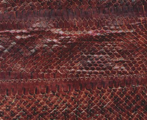 Snake Leather Skin Background Free Stock Photo Public