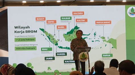 Brgm Targetkan Restorasi Gambut 300 000 Hektare Di Tahun 2023 Free