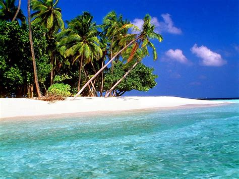 Bureaublad Achtergrond Maldiven Tropen Natuur 🔥 Gratis Beste