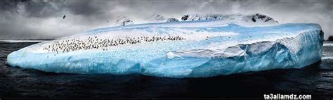 بالصور شاهد 10 أبرز وأروع لقطات في القطب الجنوبي ~ عالم تعلم