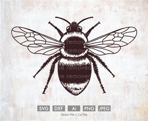 Bee Cricut Cut File Silhouette dxf SVG PNG Clip Art Stock | Etsy