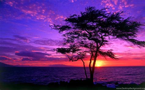 Purple Sunset Wallpapers Hd Images New Desktop Background