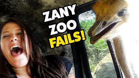 Zany Zoo Fails Funny Zoo Animals November 2018