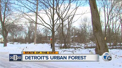 Detroits Urban Forest Youtube