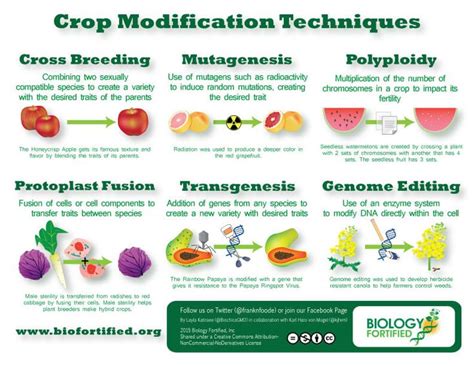 What Are Gmos With Images Plant Breeding Infographic Agriculture