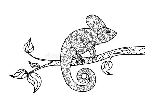 Livre De Coloriage Animal De Caméléon Pour Le Vecteur Dadultes