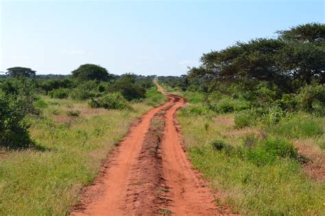 Filedirt Road Facing South Near The Voyager Ziwani Safari Camp On The