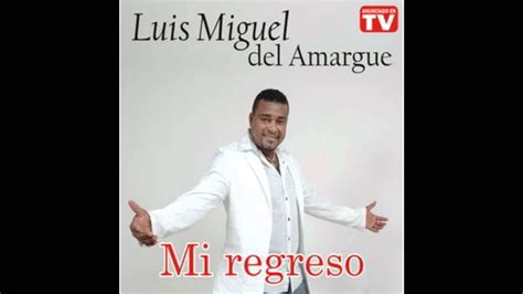 Luis Miguel Del Amargue Se Fue Mi Amor Youtube