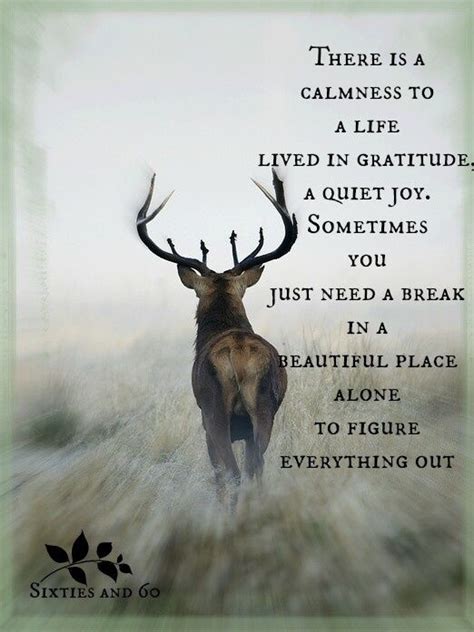Image Result For Spirit Of The Deer Quote Animals Beautiful Animals