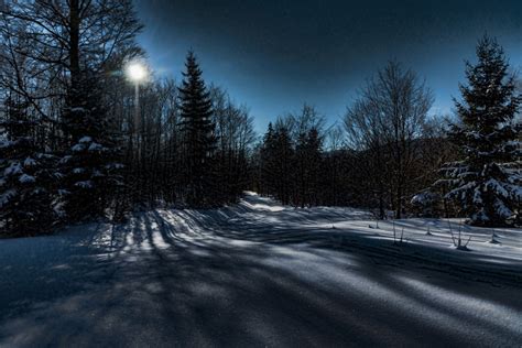 Free Images Landscape Tree Nature Snow Cold Night Sunlight