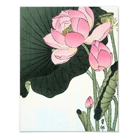 Japanese Lotus Flower Art And Wall Décor Zazzle