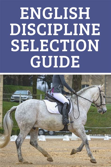 English Discipline Selection Guide English Horseback Riding