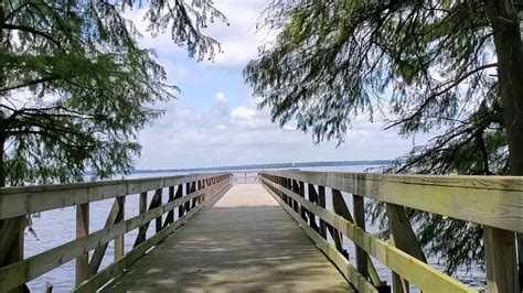 Reelfoot Lake State Park Guide Spago Chattanooga