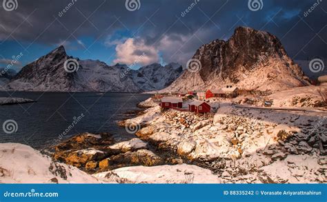 Traditional Norwegian Fisherman S Cabins Rorbuer On The Island Stock