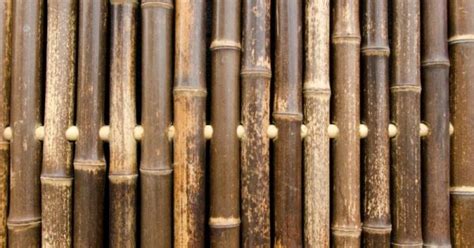 Natuurlijke Schutting Van Bamboe De Tuinen Van Appeltern