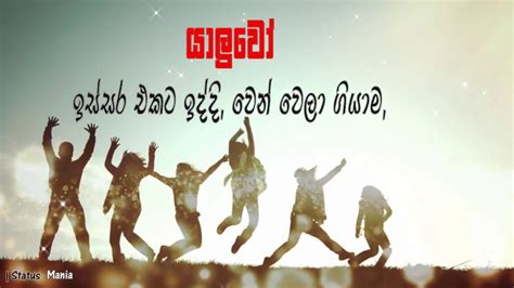 51 free quotes that you can use as whatsapp status. Friendship quotes| sinhala whatsapp status|status mania ...