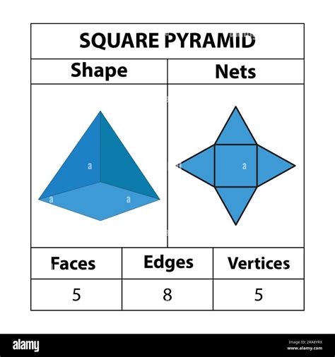 Square Pyramid Nets Faces Edges Vertices Geometric Figures Are Set