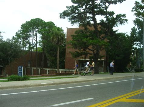 University Of Florida Campus Tour Gainesville Fl 003