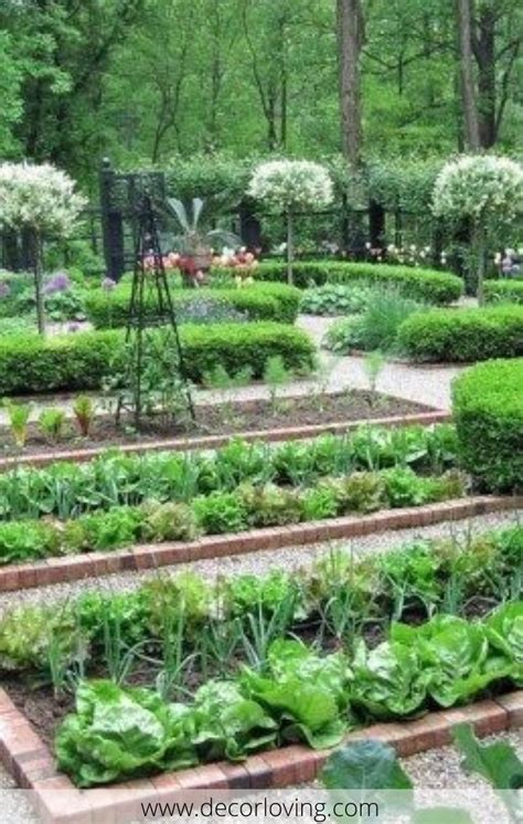 Vegetable Backyard Garden Philippines Urban Style Design