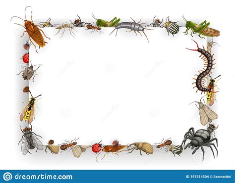 Frame With Insects Cartoon Vector Parasites Border Stock Vector