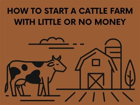 Beginner Guide To Raising Cows Our Comprehensive Guide Cowcaretaker