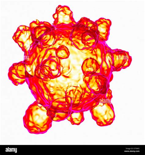 El Virus Del Sarampión Equipo De Ilustraciones Fotografía De Stock Alamy