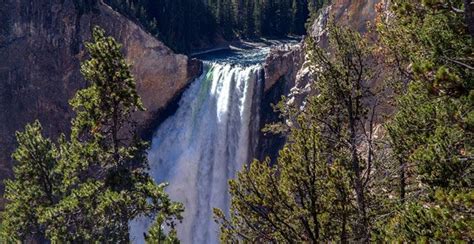 20 Interesting Facts About Yellowstone National Park