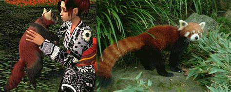 Mod The Sims Fire Fox Red Panda With A Cat Base