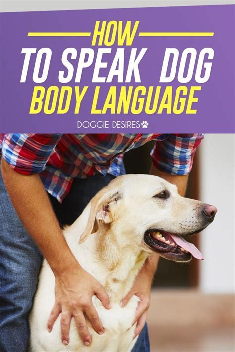 How To Speak Dog Body Language Dogs Have A Language All Their Own