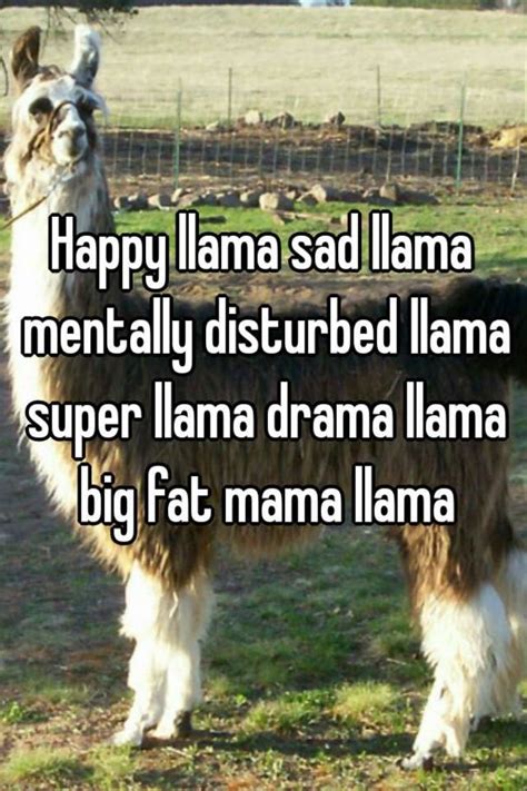 Happy Llama Sad Llama Mentally Disturbed Llama Super Llama Drama Llama