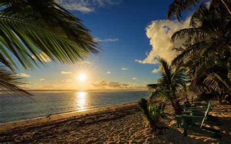 Download Wallpapers Beach Sunset Ocean Palm Trees Cook