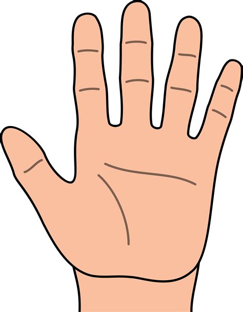 hand clipart - Clip Art Library