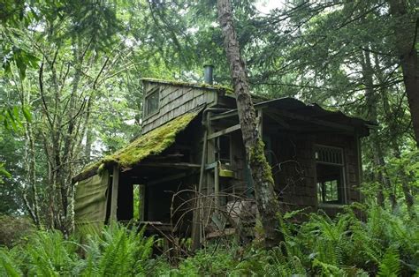 The 35 Most Gorgeous Abandoned Cabins Freeyork