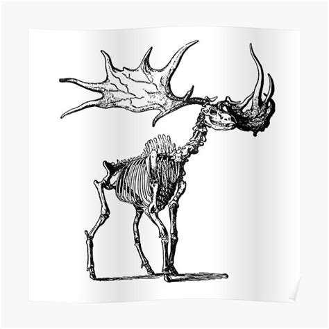 The Irish Elk Poster By Radvas Redbubble