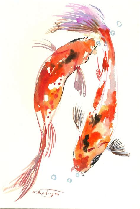 Two Koi Fish Are Swimming In The Water