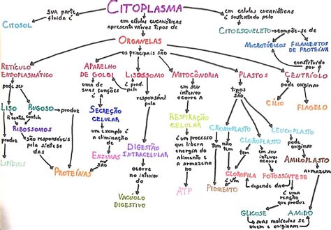 Mapa Mental Citoplasma Biologia